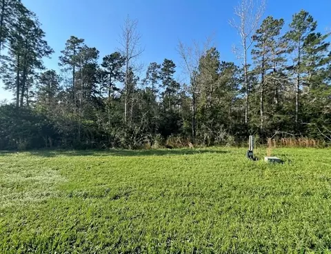 39 Coyote Run, Willis, TX 77378