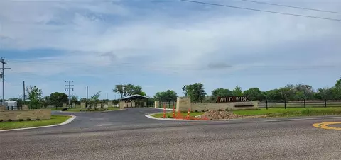 tbd Specklebelly Ln #LOT 251, Columbus, TX 78934
