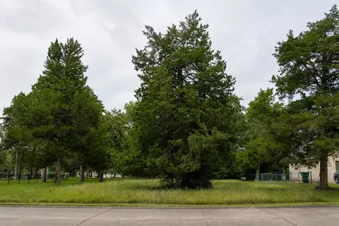 tbd St Andrews Dr, New Ulm, TX 78950