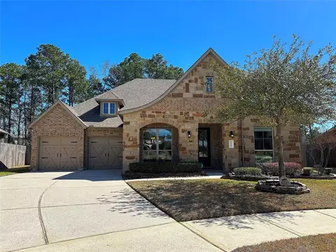 8343 Liat Ln, Conroe, TX 77304 photo 1