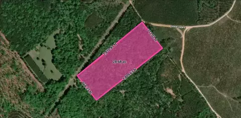 0 Soda Loop E, Livingston, TX 77351