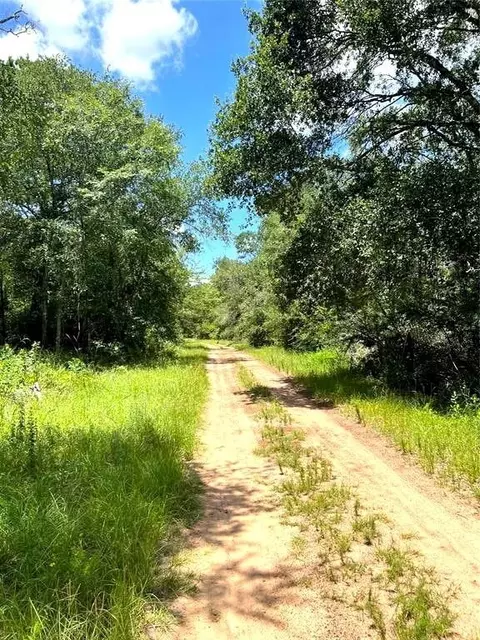 0 Squirrel Dr, Hempstead, TX 77445 photo 4