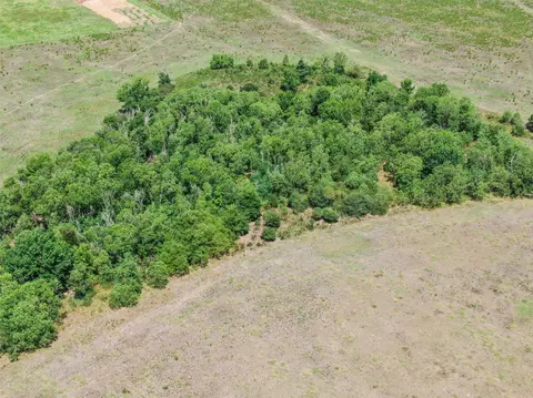 View/Area - 98 Ac Fields Store Rd, Waller, TX 77484 photo 8 of 11