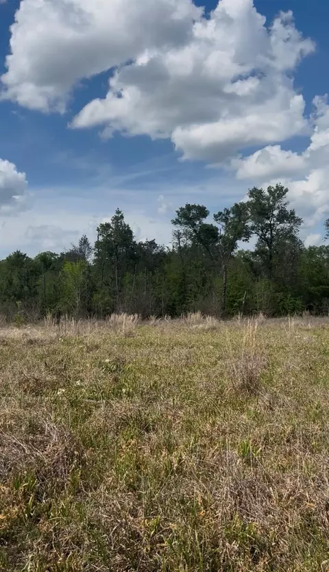 2147 8160 Tract 36, Lovelady, TX 75851