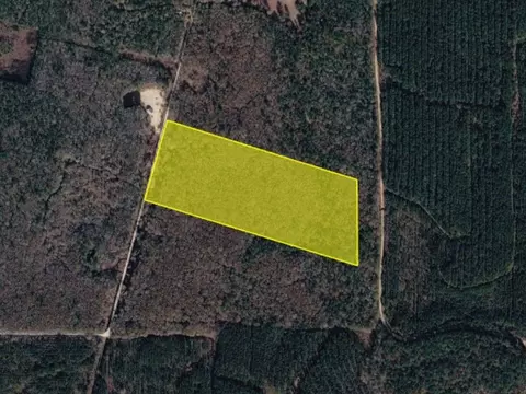 0 Sap Graveyard Rd, Kountze, TX 77625