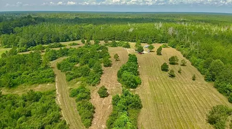 81363 George Sanner Rd, Village Mills, TX 77663