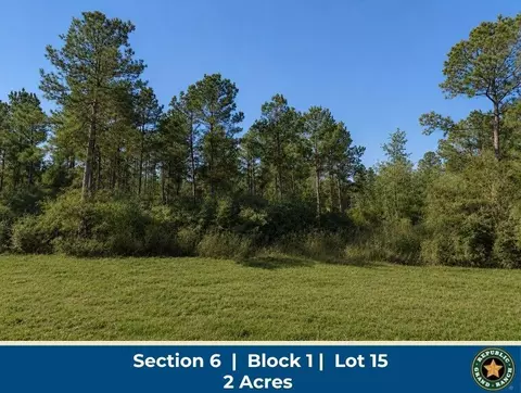 11706 Grand North Rd, Willis, TX 77378