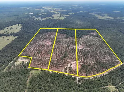 31 Boontown Rd, Groveton, TX 75845