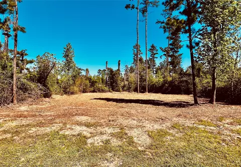 171 Brahman, Onalaska, TX 77360 photo 2