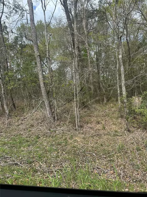 00 Cedar Valley Dr, Coldspring, TX 77331 photo 3