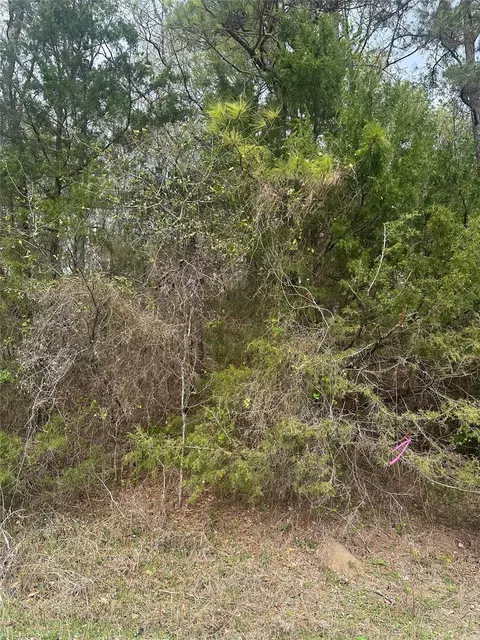 00 Cedar Valley Dr, Coldspring, TX 77331 photo 2