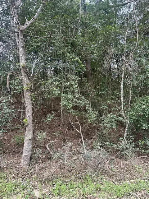 00 Cedar Valley Dr, Coldspring, TX 77331 photo 5