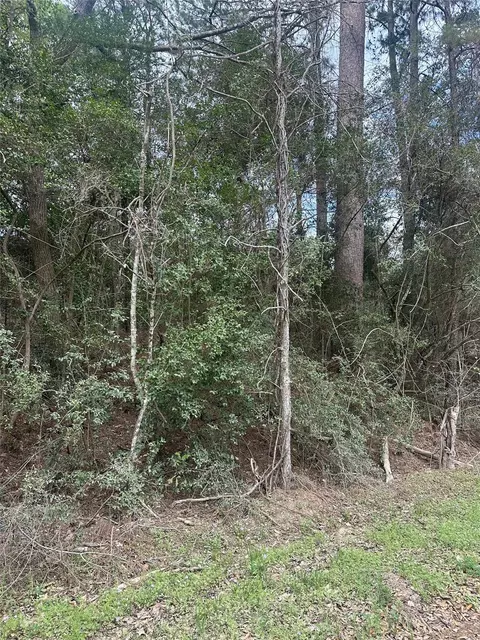 00 Cedar Valley Dr, Coldspring, TX 77331 photo 6