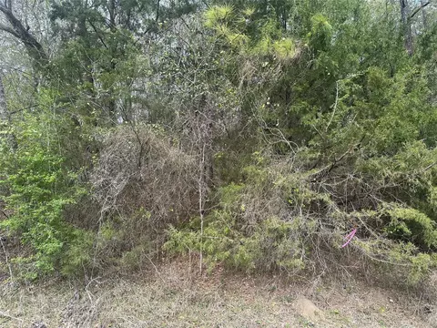 00 Cedar Valley Dr, Coldspring, TX 77331