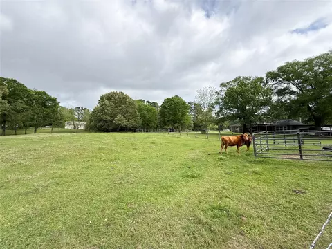 Other - 12220 Fm 356, Trinity, TX 75862 photo 8 of 13