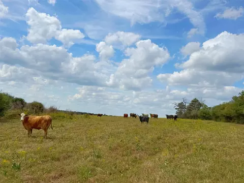 143 Ac Cr 236, Oakwood, TX 75855