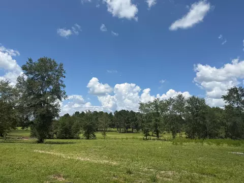 tbd N County Road 4050 Tract 1 Rd, Lovelady, TX 75851