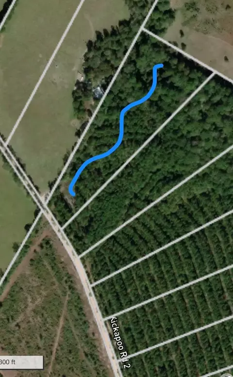 tbd Kickapoo Rd, Groveton, TX 75845