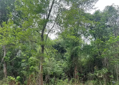 000 Cemetery Rd, Ames, TX 77575 photo 4