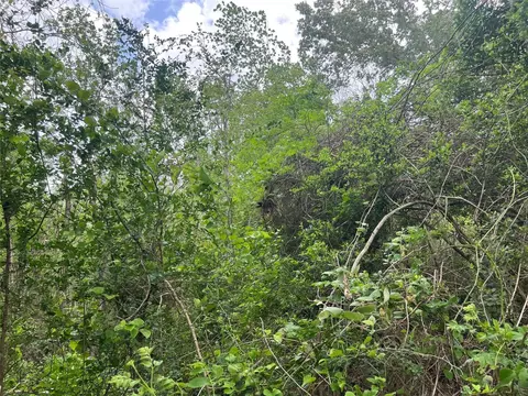 000 Cemetery Rd, Ames, TX 77575 photo 3
