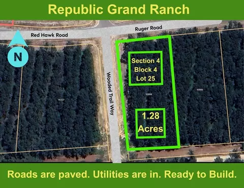 10999 Ruger Rd, Willis, TX 77378