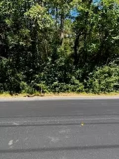 00000 W Butera Rd, Magnolia, TX 77355