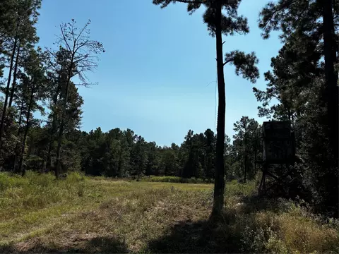 Tract 5 Trinity Lady Park Road, Trinity, TX 75862 photo 2