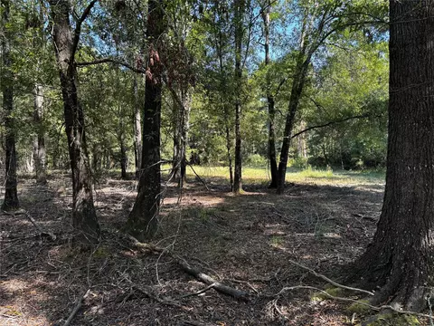 Tract 5 Trinity Lady Park Road, Trinity, TX 75862 photo 6