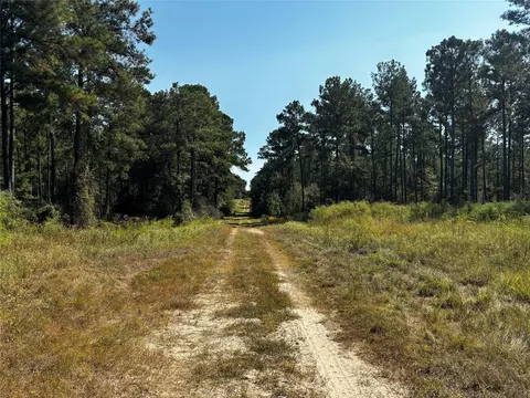Tract 5 Trinity Lady Park Road, Trinity, TX 75862 photo 3