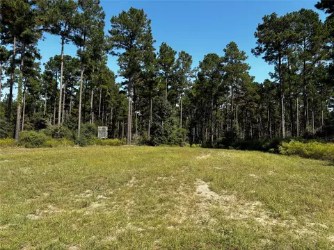 Tract 5 Trinity Lady Park Road, Trinity, TX 75862 photo 4