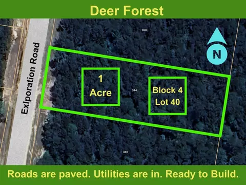 344 Exploration Rd, Willis, TX 77378