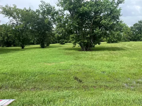 6703 Rustling Oaks Dr, Rosenberg, TX 77469 photo 6