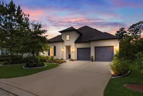 49 Snowdrop Lily Dr, Tomball, TX 77375