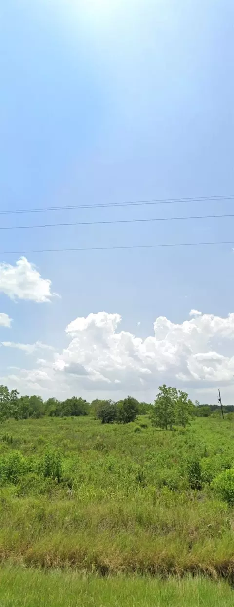 14153 Hamshire Rd, Hamshire, TX 77622