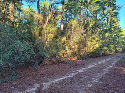 tbd E Kiowa Dr, Hempstead, TX 77445 photo 8