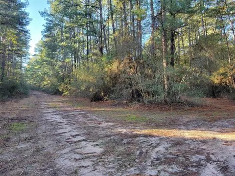 tbd E Kiowa Dr, Hempstead, TX 77445 photo 7