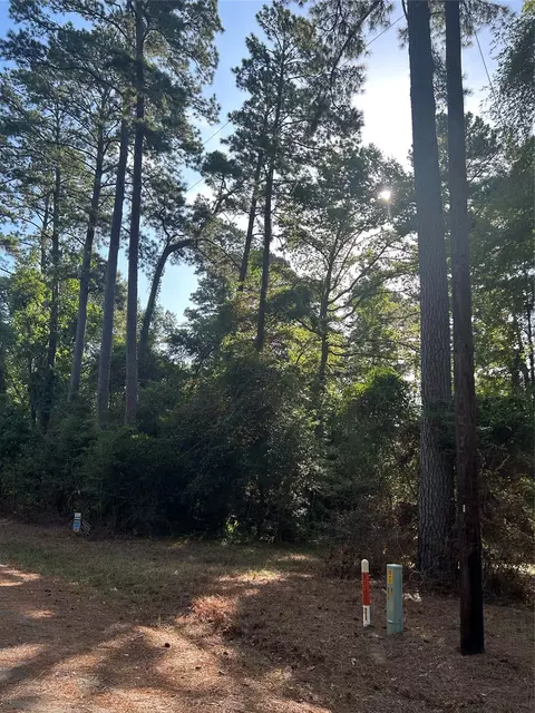 303132 Oak Pine Dr, Livingston, TX 77351