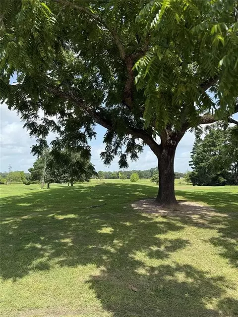 lot7 Block 8 Monticello St, Trinity, TX 75862 photo 7