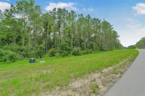 15832 Ridge Oak Rd, Willis, TX 77378 photo 1