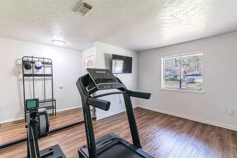 Other - 4606 Fitzwater Dr, Spring, TX 77373 photo 4 of 5