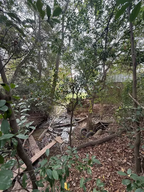0 Sequoia Dr, Livingston, TX 77351