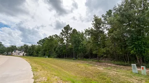 23725 Birch Grove Rd, Montgomery, TX 77316