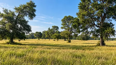 3222 Highway 21 E, Paige, TX 78659