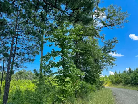 02 Fire Tower Rd, Hemphill, TX 75948 photo 6