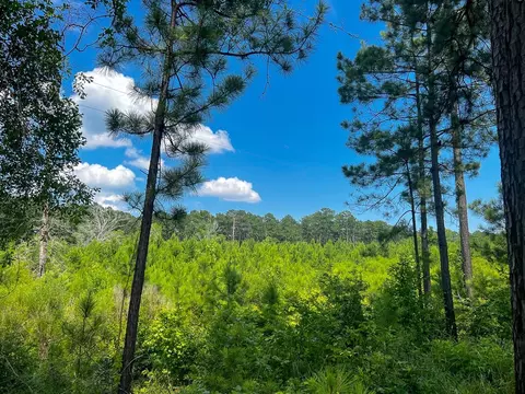 02 Fire Tower Rd, Hemphill, TX 75948 photo 3
