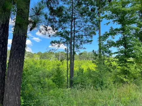 02 Fire Tower Rd, Hemphill, TX 75948 photo 7