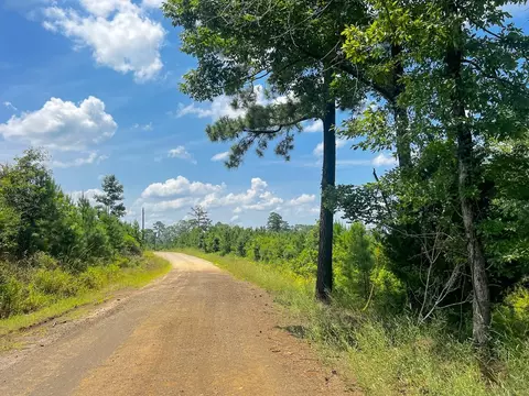 02 Fire Tower Rd, Hemphill, TX 75948 photo 4