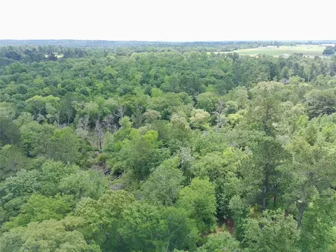 Tract 133 Pr 1313, Centerville, TX 75833