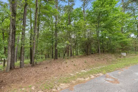 79 S Fairway Loop, Coldspring, TX 77331
