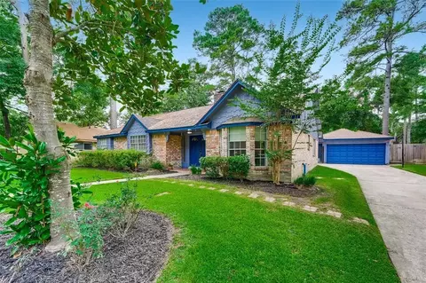 23007 Squirrel Tree St, Spring, TX 77389 photo 1